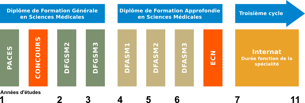 Dur e Des tudes M decine L organisation Des tudes La Formation Dur e Des tudes M decine L organisation Des tudes La Formation
